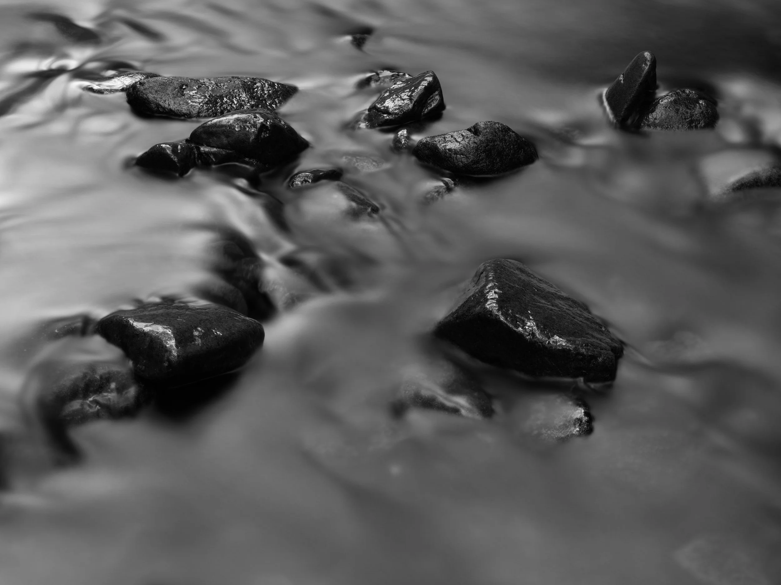 Rain-forest Stream IX